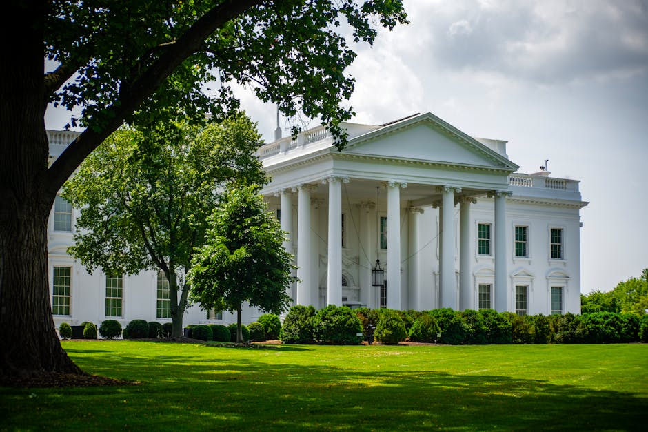 10 Amazing Facts About American Presidents