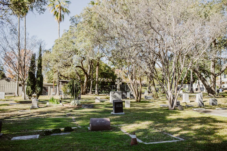 Top 10 Plot Twists That Blew Everyone’s Mind