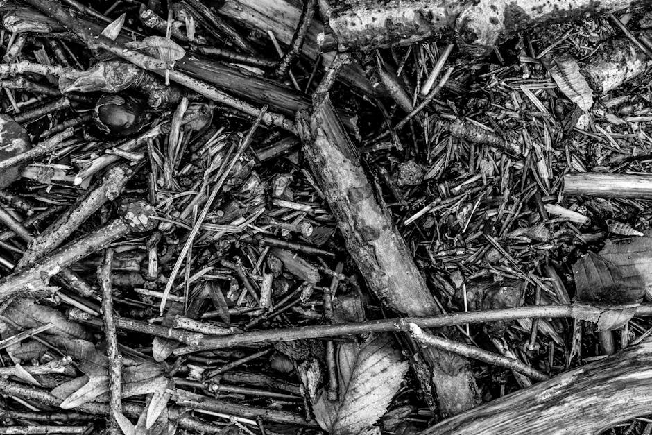 The Role of Chaos in Nature