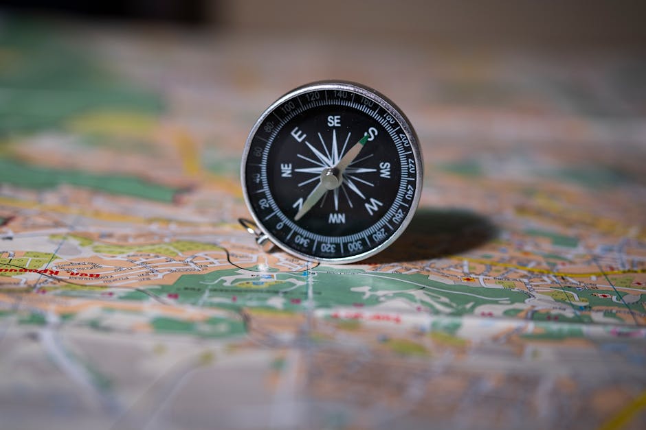 How to Make a Compass Using a Needle and Water
