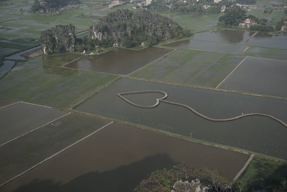 Places Shaped Entirely by Natural Forces