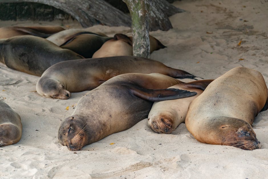 Top 10 Animals That Sleep Standing Up