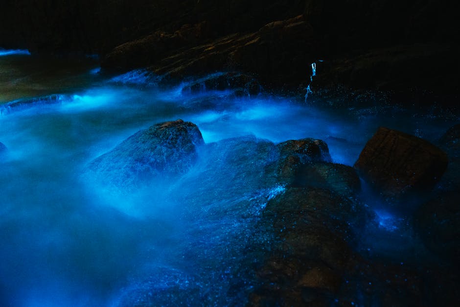 The Phenomenon of Bioluminescent Waves