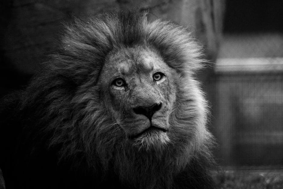 Top 10 Most Fearless Animals