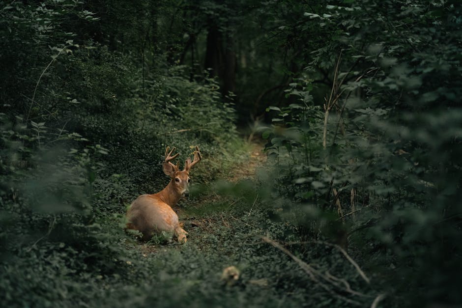 The Most Unforgiving Natural Environments