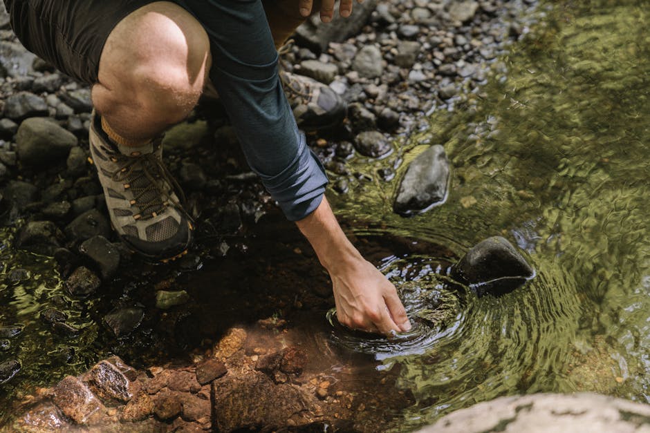 How to Purify Water in the Wild