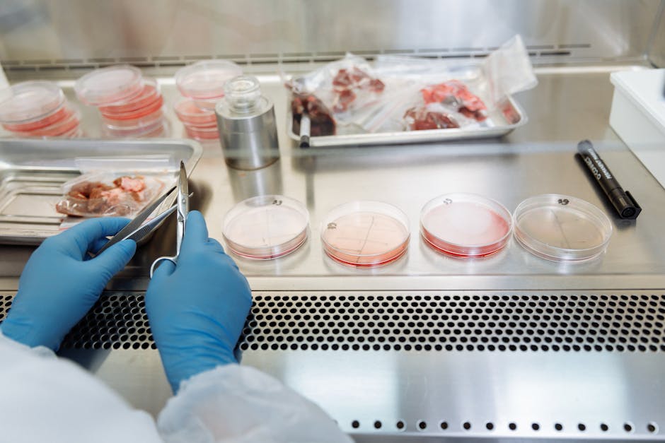 How CRISPR Is Changing the Future of Medicine