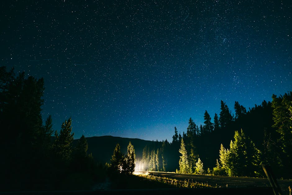 How to Find North Using the Stars