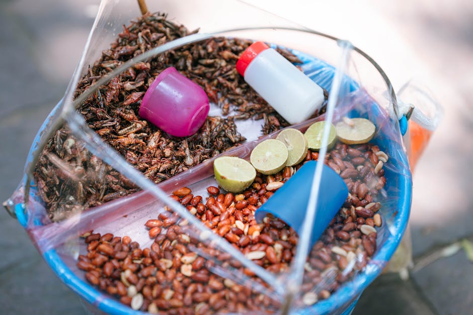 Top 10 Edible Insects Around the World