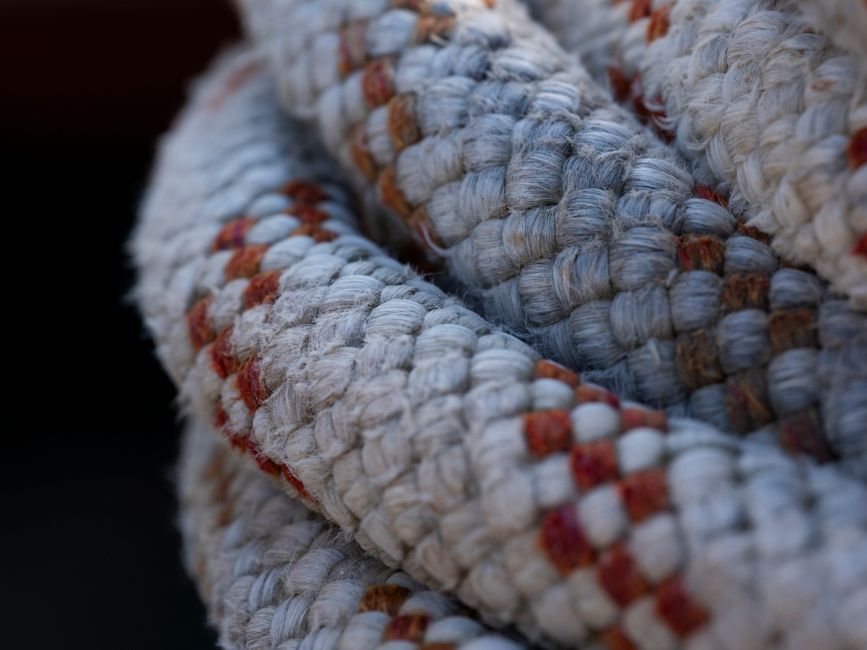 Top 10 Knots for Fishing and Hunting