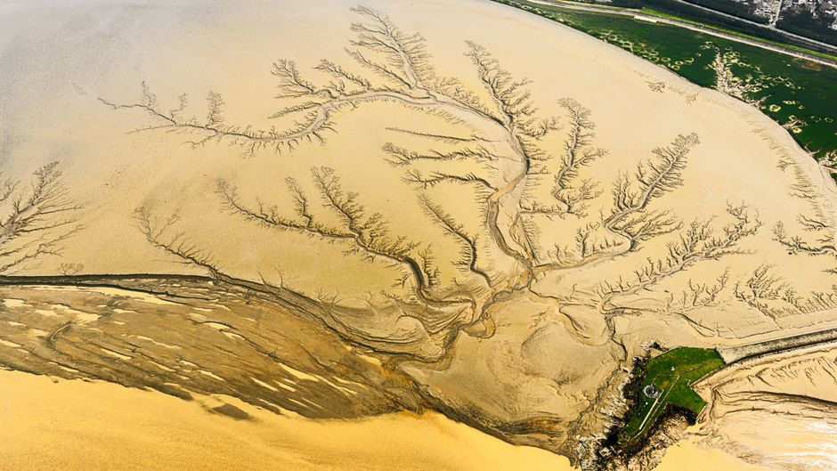 The Largest Delta in the World