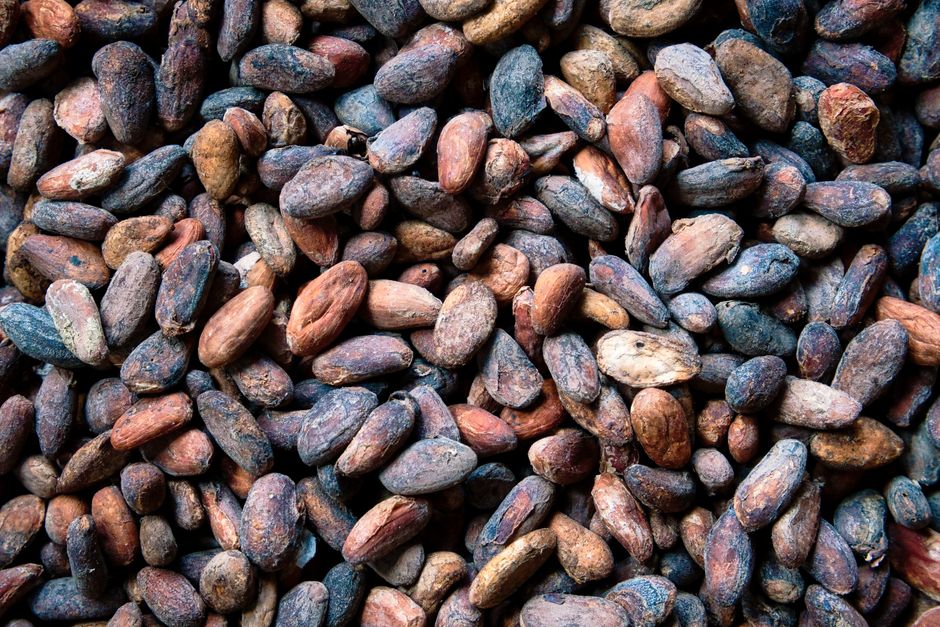 Did You Know? The Aztecs Used Cacao Beans as Money?