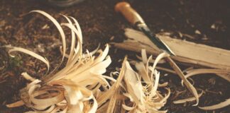 Top 10 Natural Materials That Make Great Insulation