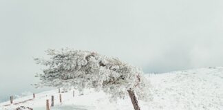 The Most Extreme Temperature Swings Recorded in a Single Day