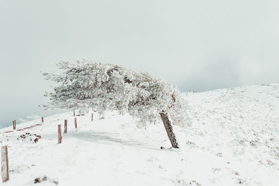 The Most Extreme Temperature Swings Recorded in a Single Day