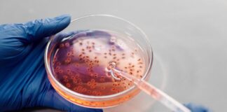 How CRISPR Could Eradicate Genetic Diseases Forever