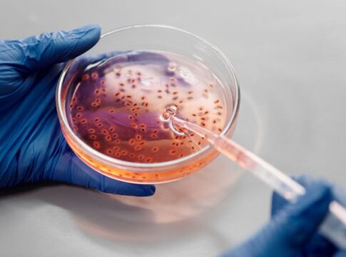 How CRISPR Could Eradicate Genetic Diseases Forever