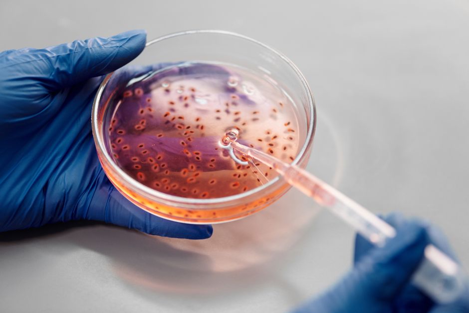 How CRISPR Could Eradicate Genetic Diseases Forever