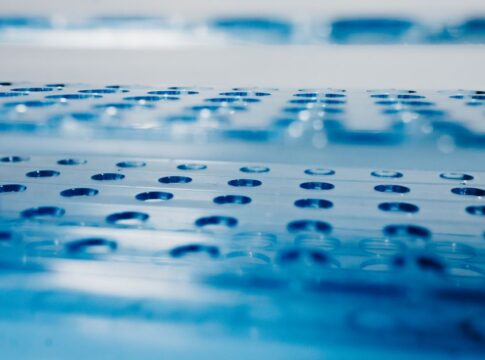 How Scientists Are Turning Plastic-Eating Bacteria Into a Solution