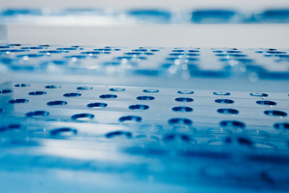 How Scientists Are Turning Plastic-Eating Bacteria Into a Solution