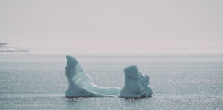 Why Greenland Looks Bigger Than Africa on Most World Maps — Geography trivia by Trivia Daily