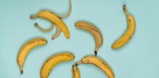 Why Bananas Are Curved: The Surprising Science Explained — Food trivia by Trivia Daily