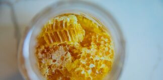 Why Honey Never Spoils: The Ancient Food That Lasts Forever — Food trivia by Trivia Daily