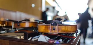 Why Stradivarius Violins Are Worth Millions Today — Music trivia by Trivia Daily