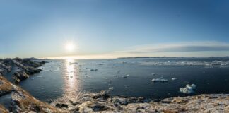 Why Greenland Appears Larger Than Africa on Most Maps — Geography trivia by Trivia Daily