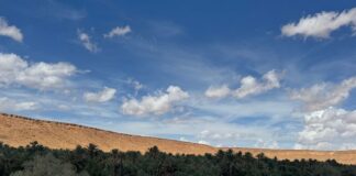 Why the Sahara Desert Was Once a Lush Green Savanna — Geography trivia by Trivia Daily