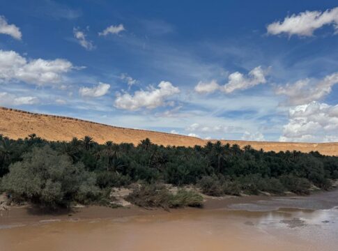 Why the Sahara Desert Was Once a Lush Green Savanna — Geography trivia by Trivia Daily