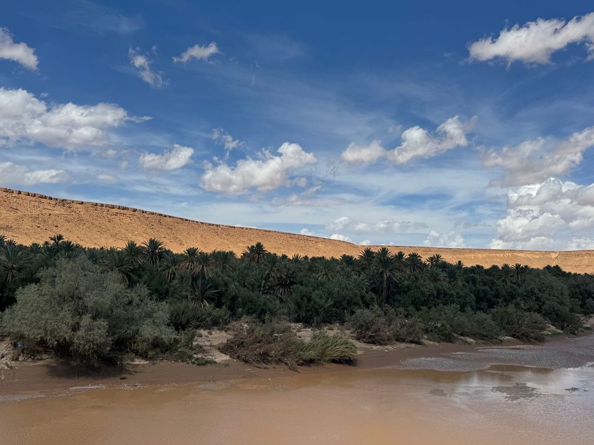 Why the Sahara Desert Was Once a Lush Green Savanna