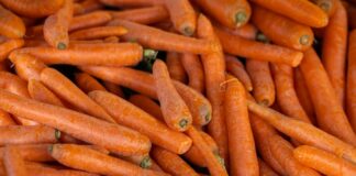 Why Carrots Were Purple Before the 17th Century — Food trivia by Trivia Daily